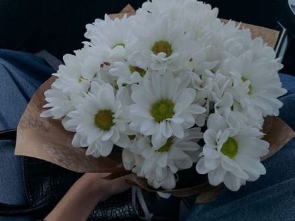 Chrysanthemum bouquet